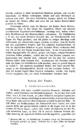 [Retina der Schildkröte.]