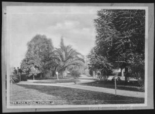 Park Scene, Pomona, California