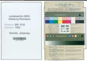 Entnazifizierung Johannes Schmitz , geb. 28.08.1899 (Maschinenschlosser)