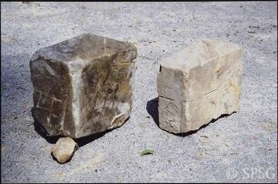 Potsdam, Park Sanssouci, Baumschule Sanssouci, gefundene Steinplatten mit Namen von Baumarten.