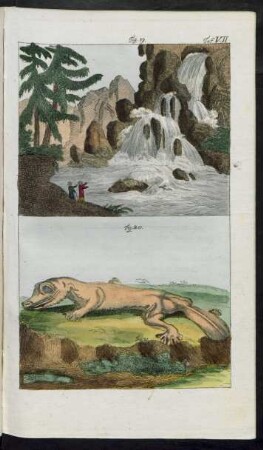 Taf. V. [Illustration falsch beziffert mit Taf. VII.] Fig. 19. - 21.