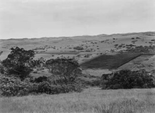 Landwirtschaftliche Anbaufläche : Landwirtschaftliche Anbaufläche