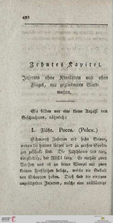 Zehntes Kapitel