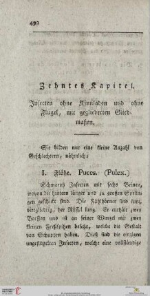 Zehntes Kapitel