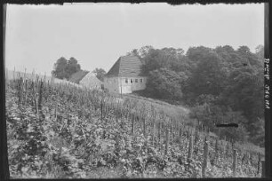 Meißen. Thürmers Weinschank