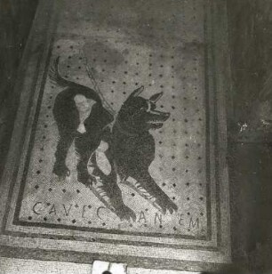 Kettenhund : Kettenhund. Mosaik, 62 u. Z. Pompeji, Haus des tragischen Dichters