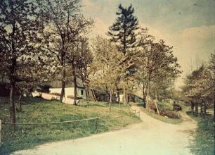 Landschaft mit Gehöft hinter Bäumen