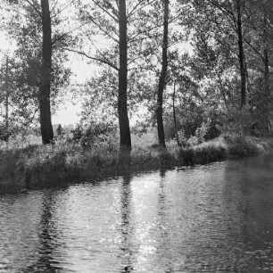 Landschaftsbild. Fließgewässer im Spreewald. : Wobraz krajiny. Groble w Błótach.