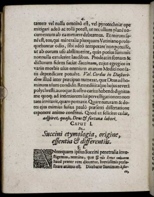 Caput I. De Succini etymologia, origine, essentia & differentiis.