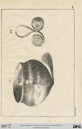 Tafel I-XII