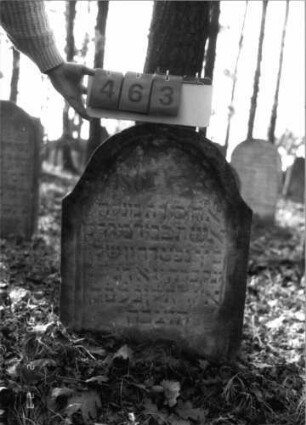 Grabstein 463 (Index: 100115555) Material: Sandstein Zustand: stark verwittert Maße HxBxT: 101x64x11 cm Beschreibung: Stele mit eingezogenem Rundbogenabschluß, eingetieftes Schriftfeld: Grabstein 463