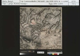 Stangengrün, Wolfersgrün, Obercrinitz, Giegengrün, Bärenwalde, Rothenkirchen, Wernesgrün, Wildenau, Röthenbach