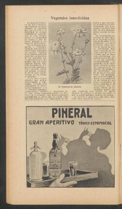 Vegetales insecticidas