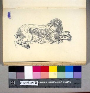 Der Cockerspaniel der Familie Schniewind