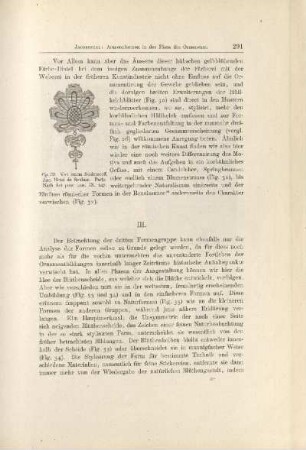 Fig. 32. Von einem Seidenstoff