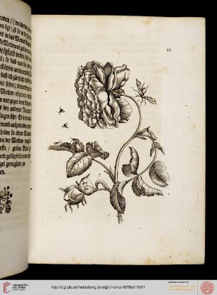 Tafeln und Text 21-30