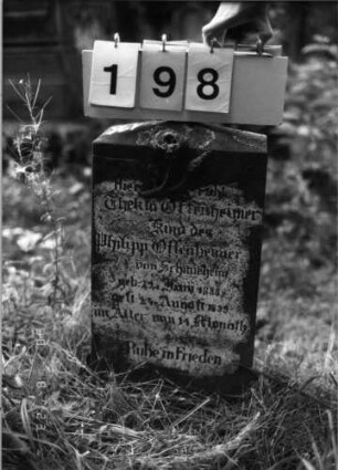 Grabstein 198 (Index: 100095914) Maße HxBxT: 64x30x14 cm Symbolik: Rosenzweig Besonderheit: Kindergrab: Grabstein 198