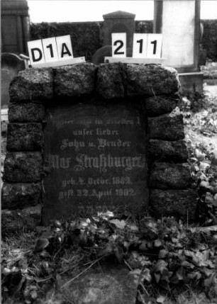 Grabstein D I A/2/11