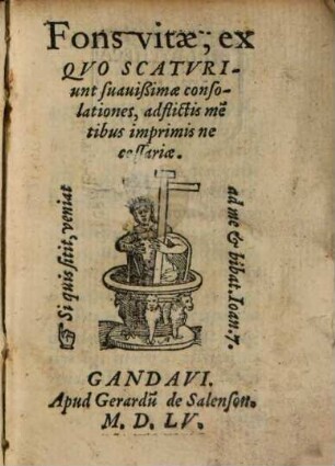 Fons vitae, ex quo scaturiunt suavissimae consolationes