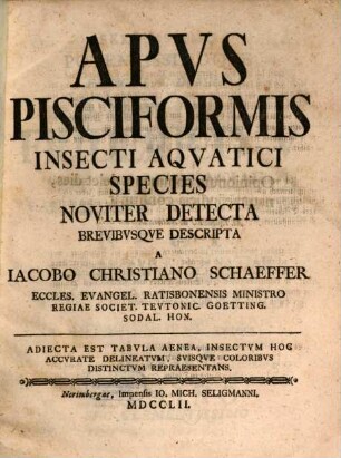 Apus pisciformis : insecti aquatici species noviter detecta brevibusque descripta