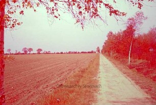 Papendorf: Fahrradweg