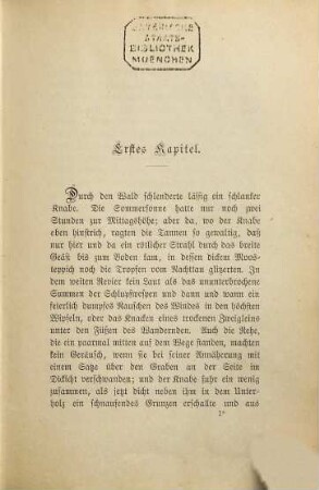 Sonntagskind : Roman in sechs Büchern, 1