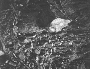 Regentropfen-Morphologie: Erdpyramiden : Detailaufnahme von Regentropfen.