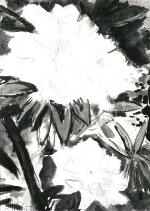 Rhododendron : Gelbke, Georg: Rhododendron. 1927. Aquarell; 43,5 x 31 cm. Privatbesitz