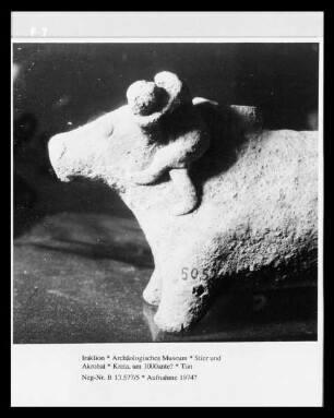 Stier und Akrobat