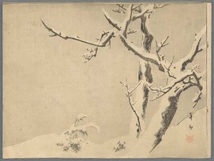 Glimpses of Japan