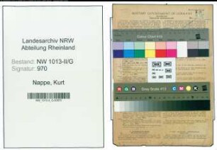 Entnazifizierung Kurt Nappe , geb. 10.06.1910 (Kaufmann)