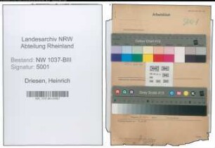 Entnazifizierung Heinrich Driesen , geb. 06.08.1907 (Kaufmann)