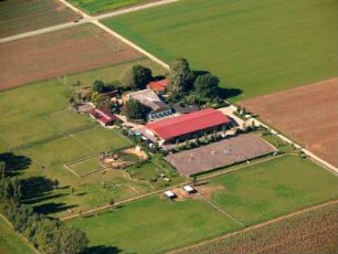 Freimersheim (Pfalz) : südlich von
