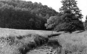 Triebischtal-Tanneberg. Triebisch bei der Eulenmühle