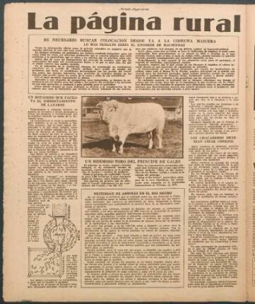 Los chacareros deberian criar conejos