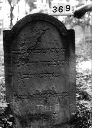 Grabstein 369 (Index: 99803584) Material: Sandstein Zustand: partiell völlig verwitt/Textverlust Maße HxBxT: 99x61x7 cm Beschreibung: Stele mit Karniesbogen und profiliertem Rand: Grabstein 369