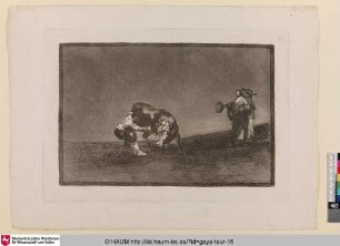 El mismo vuelca un toro en la plaza de Madrid [Derselbe bringt den Stier in der Arena von Madrid zu Fall; The same man throws a bull in the ring at Madrid]