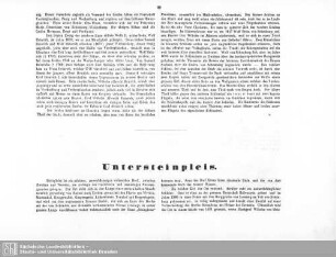 Untersteinpleis