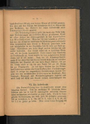 VI. Die Leibesfrucht.