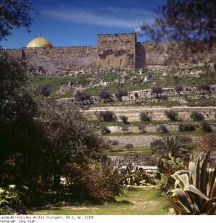 Israel: Goldenes Tor