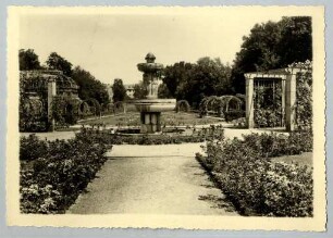 Stadtgarten - Rosengarten
