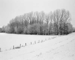 Barnitz/Elbe, Wendland, Deutschland, 2000