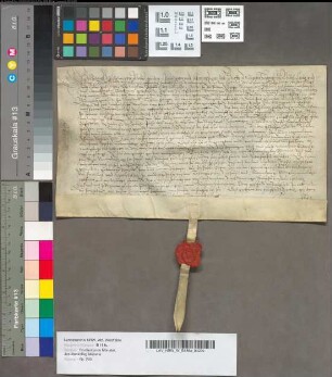 Consensus Principis Joannis Wilhelmi in hypothecationem praediorum Ramesberg [im Kirchspiel Schöppingen] et Niehaus behuef von Schelver.