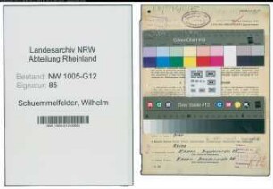 Entnazifizierung Wilhelm Schuemmelfelder , geb. 27.05.1900 (Ingenieur)