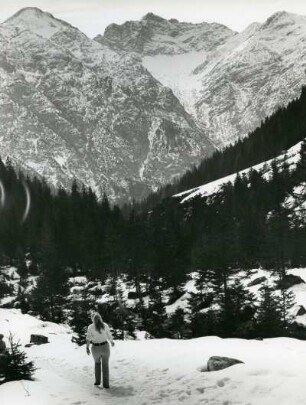 Frühling im Lechtal (Vorarlberg). Fidi läuft im Schnee