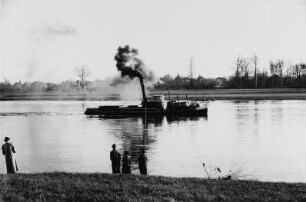 Schleppdampfer auf der Elbe bei Pillnitz