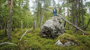 Tics - Mit Tourette nach Lappland