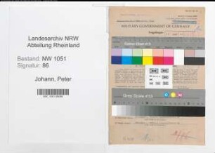 Entnazifizierung Peter Johann , geb. 27.12.1888 (Ingenieur)