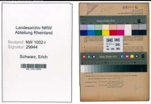 Entnazifizierung Erich Schwarz, geb. 30.12.1903 (Betriebswirt)