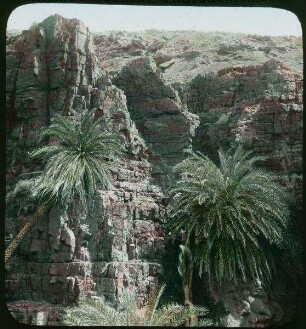 Wady El-Nakhl T. Meer [Totes Meer]